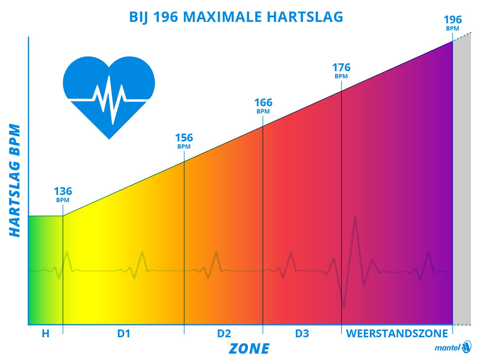 blog Olle grafiek hartslag