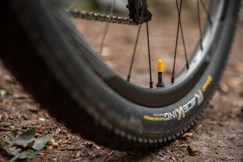 Hoe droger en beter de trails, hoe beter de Mountain King tot zijn recht komt.