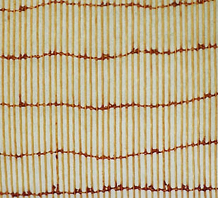 Un dettaglio della carcassa con TPI basso. I fili sono leggermente più spessi e c’è più spazio tra di essi.