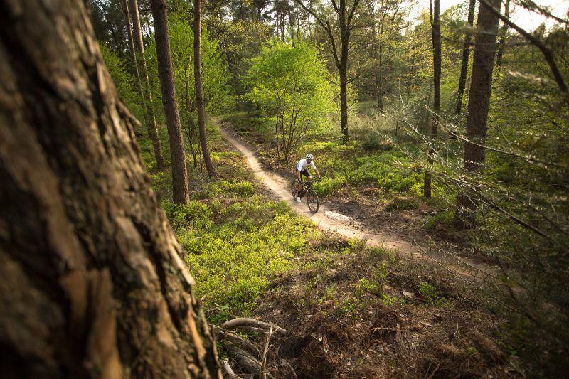 Op een single track zul je de route niet zo snel kwijtraken.